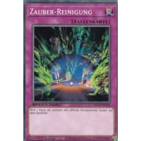 Zauber-Reinigung SBCB-DE196