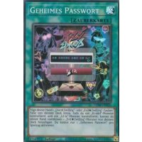 Geheimes Passwort GEIM-DE020