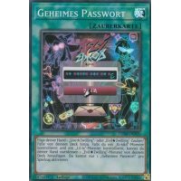 Geheimes Passwort GEIM-DE020