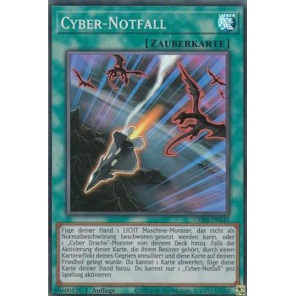 Cyber-Notfall GEIM-DE042