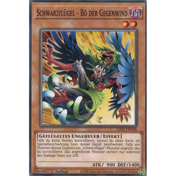 Schwarzfl&uuml;gel - B&ouml; der Gegenwind LDS2-DE038