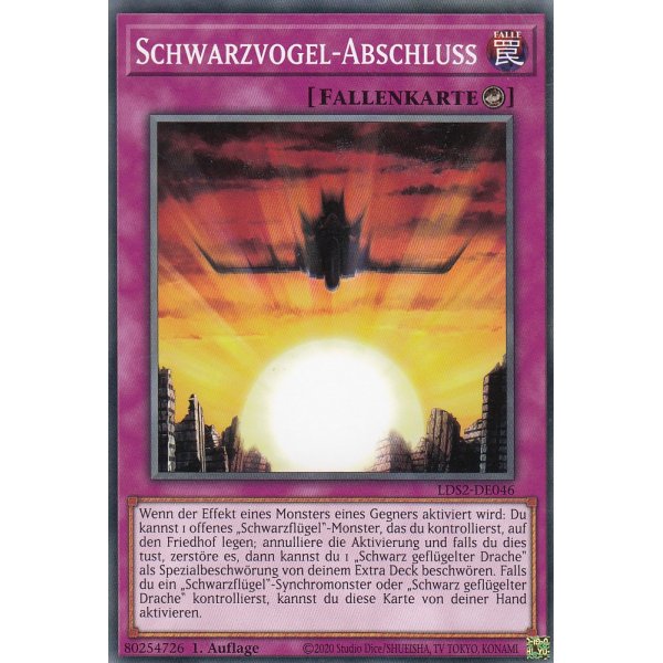 Schwarzvogel-Abschluss LDS2-DE046