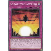 Schwarzvogel-Abschluss LDS2-DE046