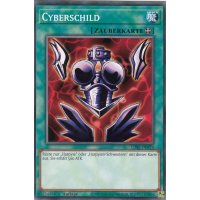 Cyberschild LDS2-DE079