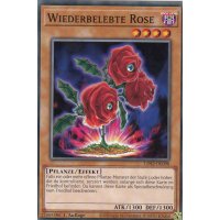 Wiederbelebte Rose LDS2-DE098