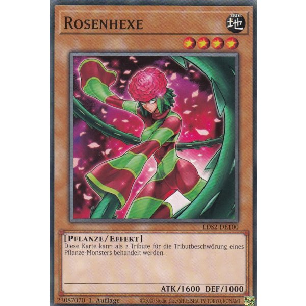 Rosenhexe LDS2-DE100