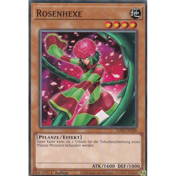Rosenhexe LDS2-DE100