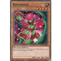 Rosenhexe LDS2-DE100