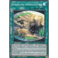 Springans-Beobachtung BLVO-DE054