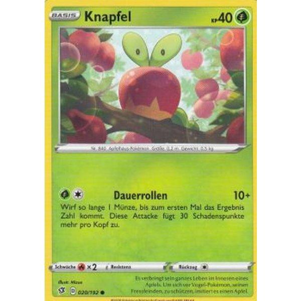 Knapfel 020/192
