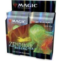 Zendikar Rising Collector Booster Display (12 Packs, englisch)
