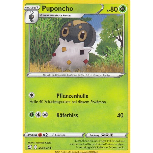Puponcho 012/163