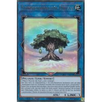 Sonnenavalon-Dryas GFTP-DE018