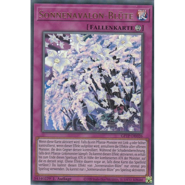 Sonnenavalon-Bl&uuml;te GFTP-DE026