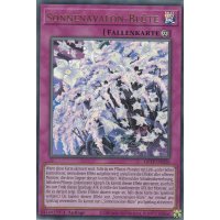 Sonnenavalon-Bl&uuml;te GFTP-DE026