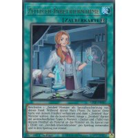 Zeitdieb-Inbetriebnahme GFTP-DE067