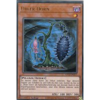 Übler Dorn GFTP-DE077