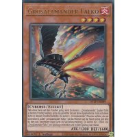 Grosalamander Falko GFTP-DE089