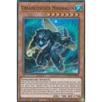 Ursarktischer Mikkragen ANGU-DE028