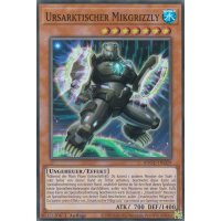 Ursarktischer Mikgrizzly ANGU-DE029