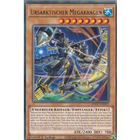 Ursarktischer Megakragen ANGU-DE031