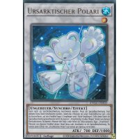 Ursarktischer Polari ANGU-DE033