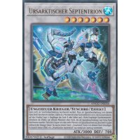 Ursarktischer Septentrion ANGU-DE034