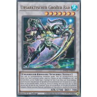 Ursarktischer Großer Bär ANGU-DE035